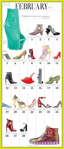365 Days of Shoes Picture-A-Day Wall Calendar 2017